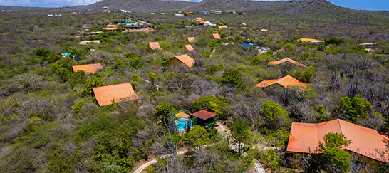 The Green Flamingo boutique property in Curaçao